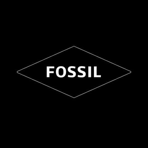 FOSSIL photo